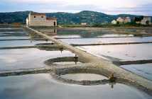 Sconfinamenti – La programmazione dall’8 al 14 giugno 2020