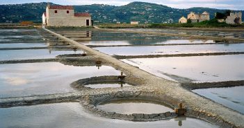 Sconfinamenti – La programmazione dall’8 al 14 giugno 2020