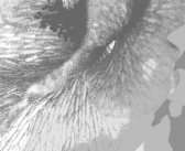 Le mille e una lingua – II edizione del concorso di traduzione migratoria da ogni lingua in italiano promosso dal Forum per l’italiano in Svizzera